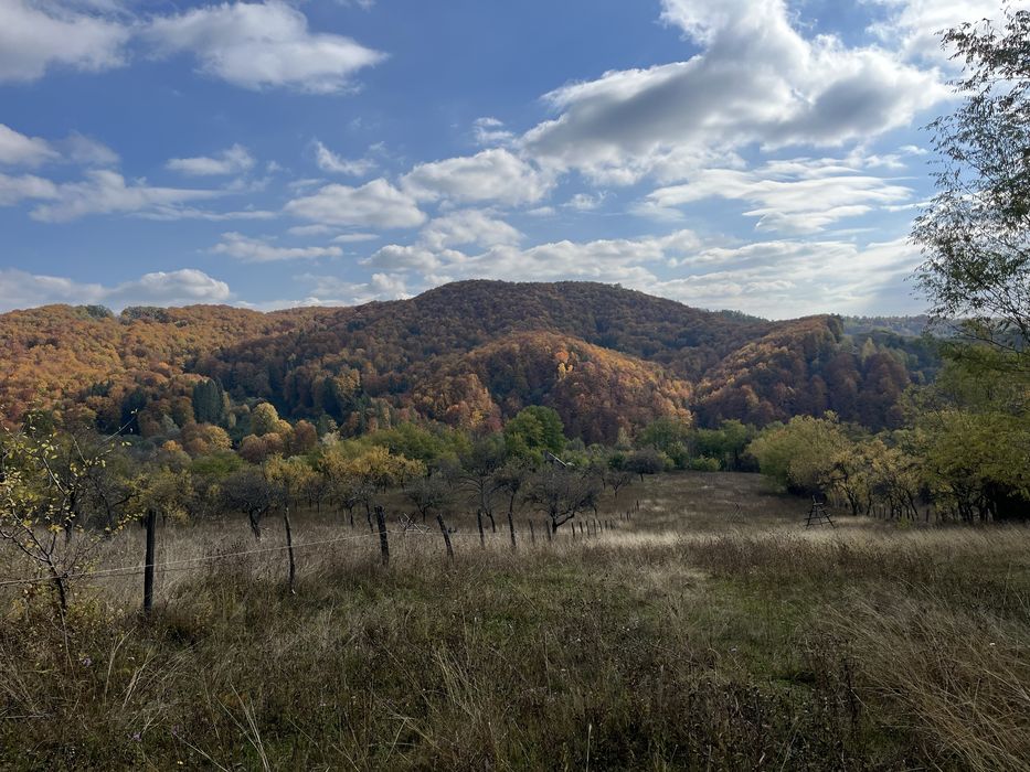 Teren de vanzare in  Albesti Ungureni, strada Valea Stupinii, 5000 mp