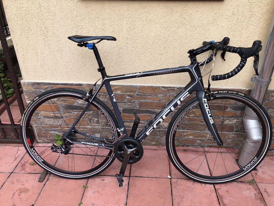 Semicursiera carbon Focus