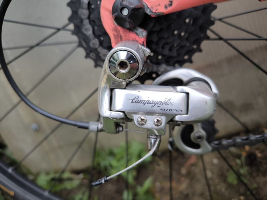 Cursiera Decathlon Bisiaux