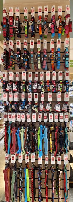 Ошейник,ошейники,поводок,поводки для кошек и собак