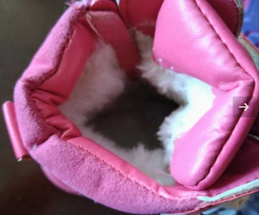 Боти, нови Clibee 26 н.