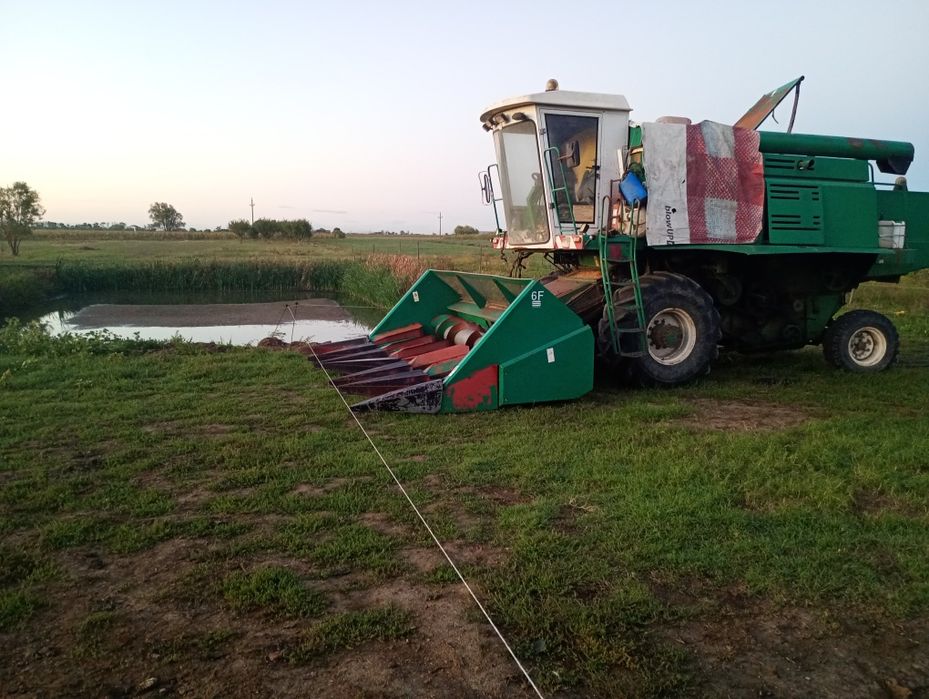 conbina sema 110 mli cu doua mese de grîu și floarea soarelui