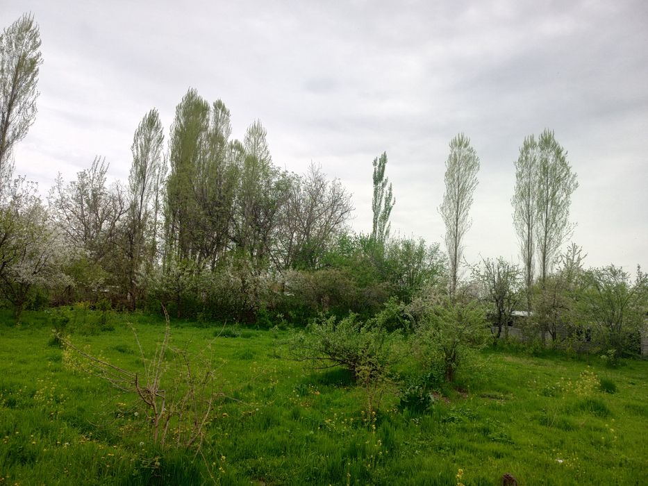 Yer xovli sotiladi 24 sotix aray hoji kolga kerurishda kavardanda