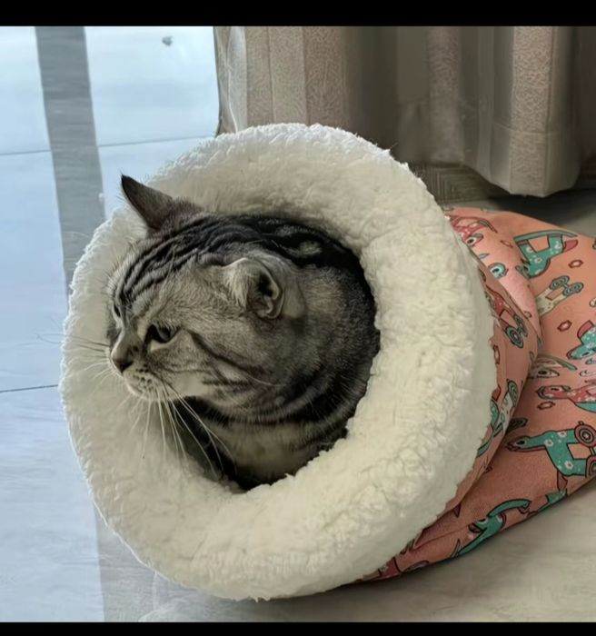 Лежак для кошки новый