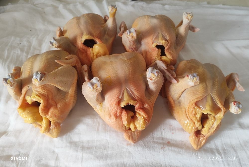 Мясо домашних бройлеров