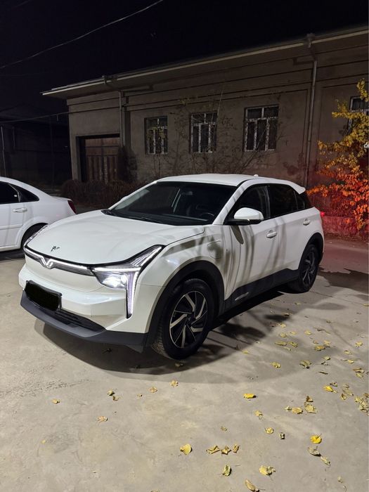 Hozon Neta U Pro 401