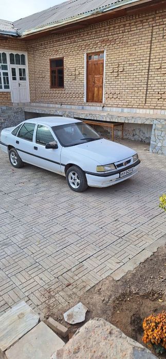 Vectra Opel sons