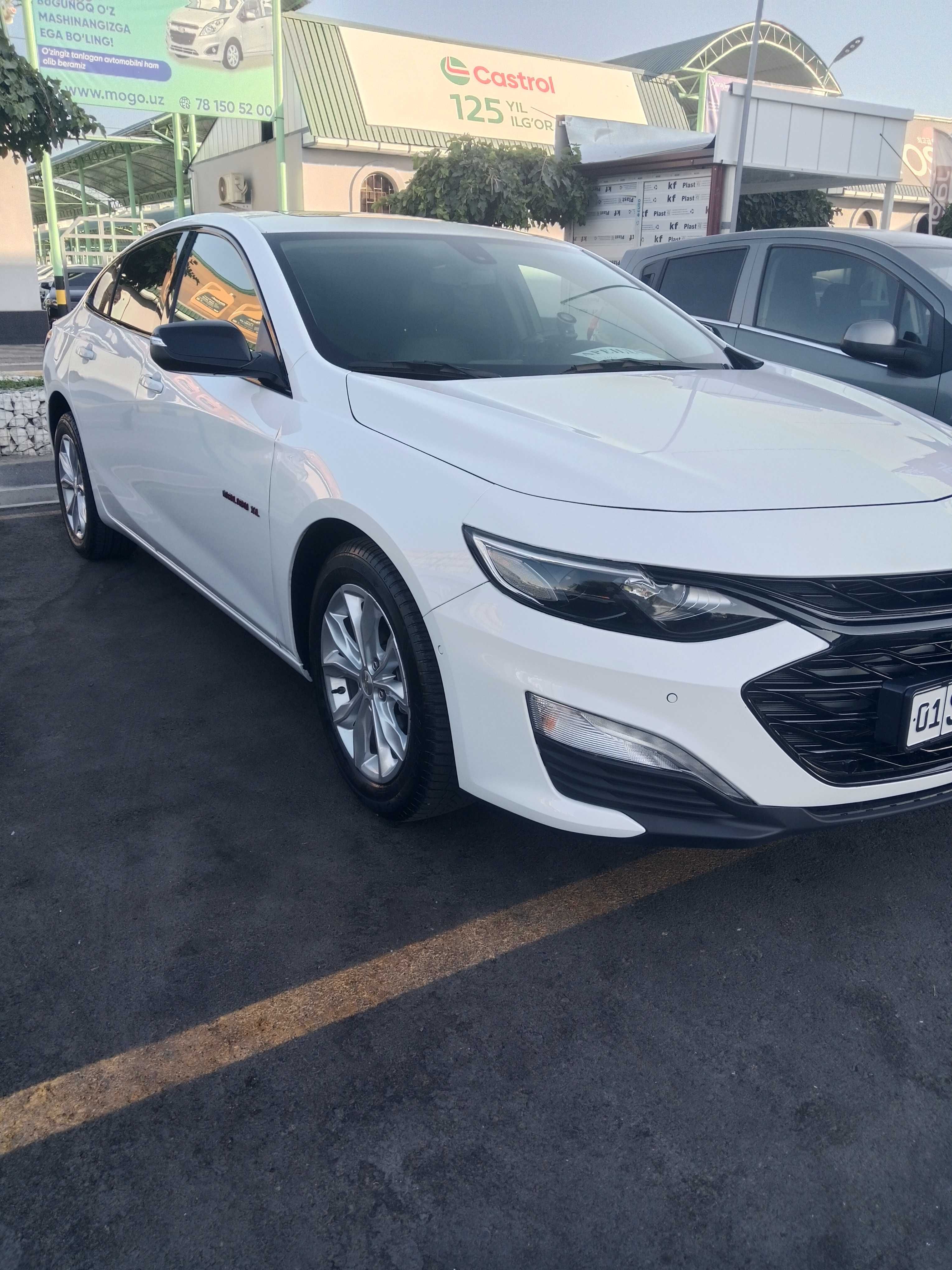 malibu 2 rentacar
