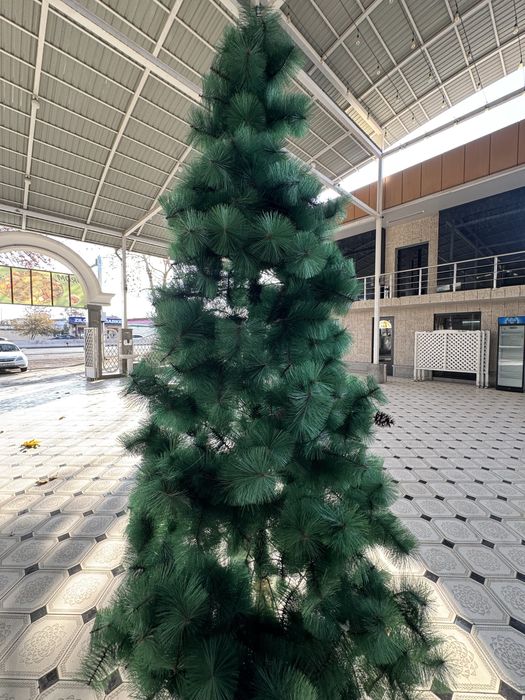 Archa/Ёлка 3metr