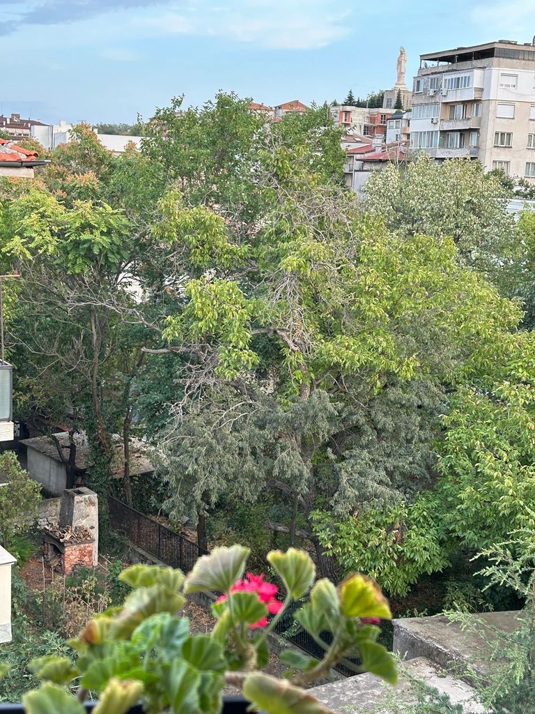 Продава се Двустаен апартамент в Хасково, Център - 57 кв.м за 1053 €/кв.м - Снимка #7