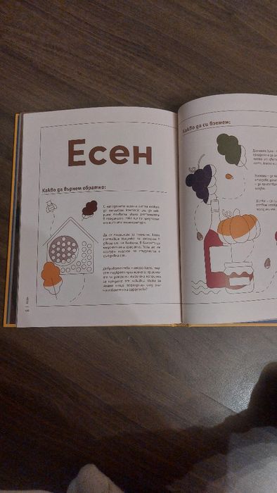 Енциклопедия за алтернативна медицина и готварска книга на Lidl