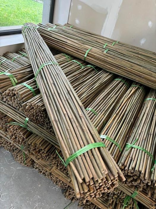 Колчета за укрепване на домати от БАМБУК естествени НА ПРОМОЦИЯ!