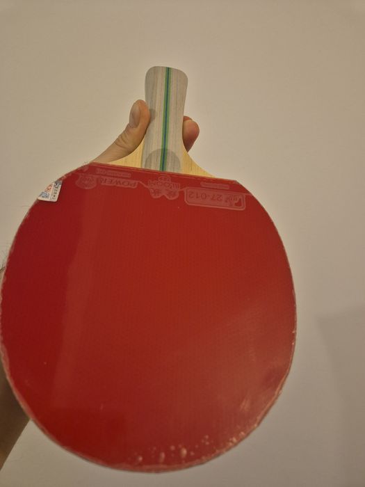Paletă ping-pong profesională 729 King Bloom