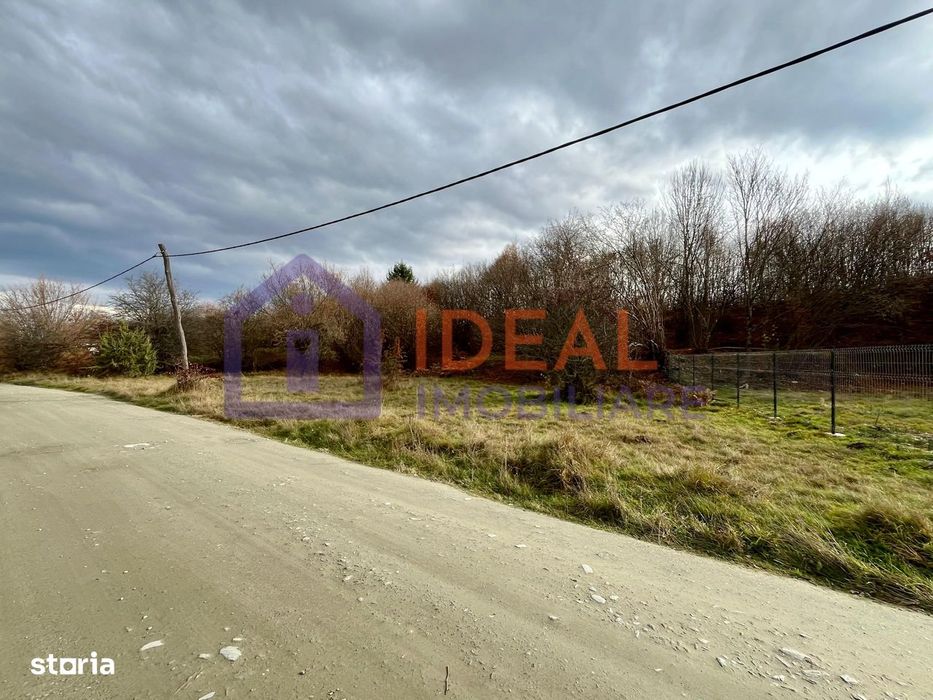 Teren extravilan 1030 mp, Cârțișoara