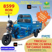 Triciclu electric cu bena tip cargo 500 kg, FORTE by AGRONORD