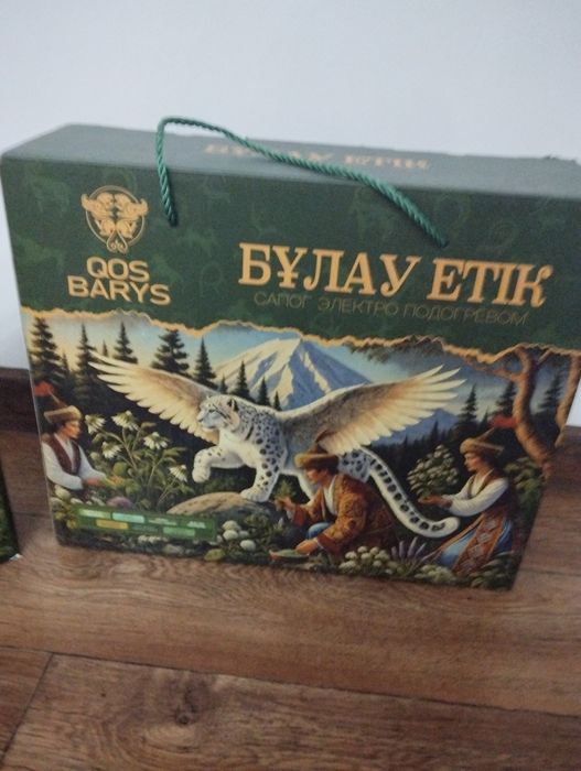 Сапоги с электроподогревом