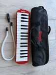 Vind Melodica Stagg