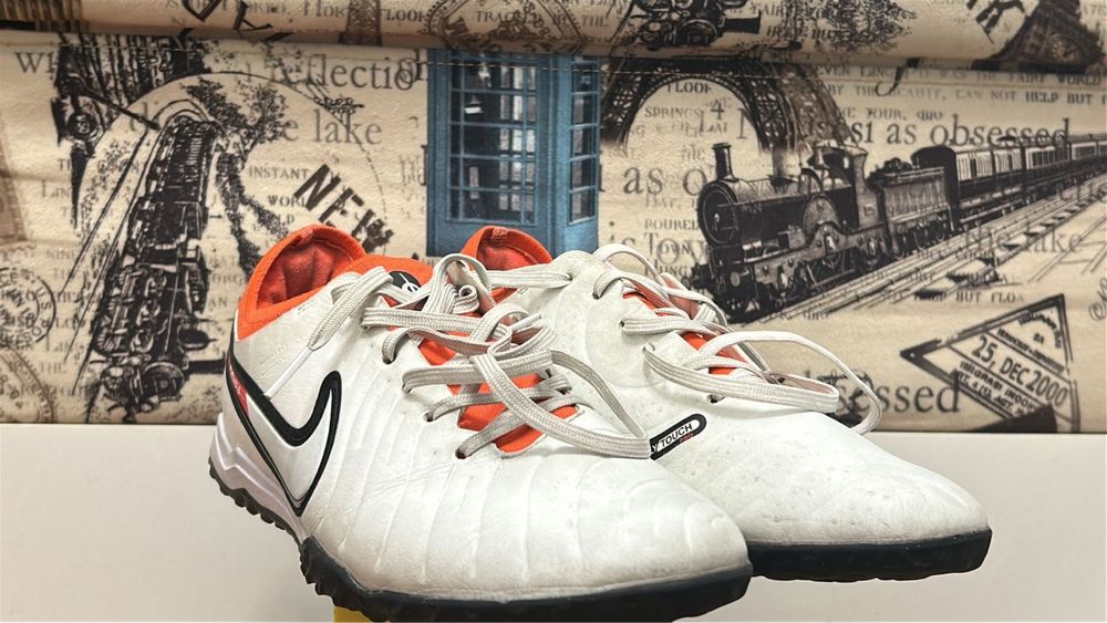 сороконожки 41 .