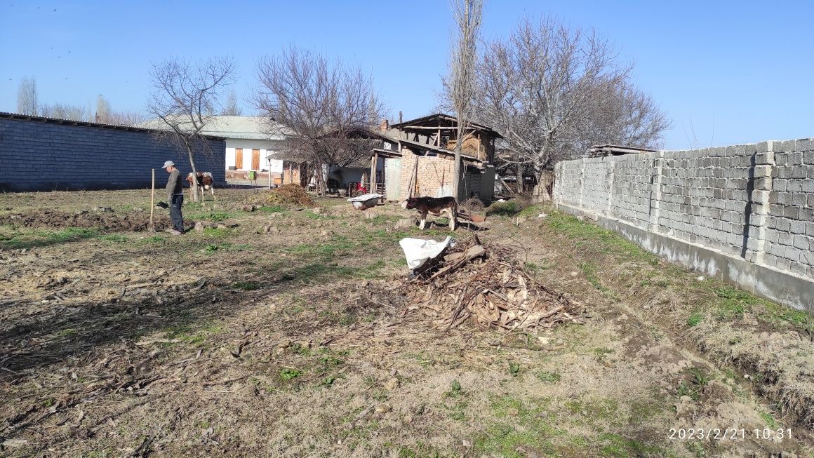 Продаётся дом с участком 12 соток