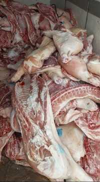 Мясо молодой свинины Тушками/Полтушками