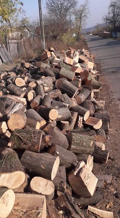 Lemne de foc cu transport gratuit