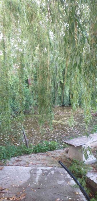 Vand casa cu teren intravilan 7347 mp Stolnicieni Prajescu-Iasi