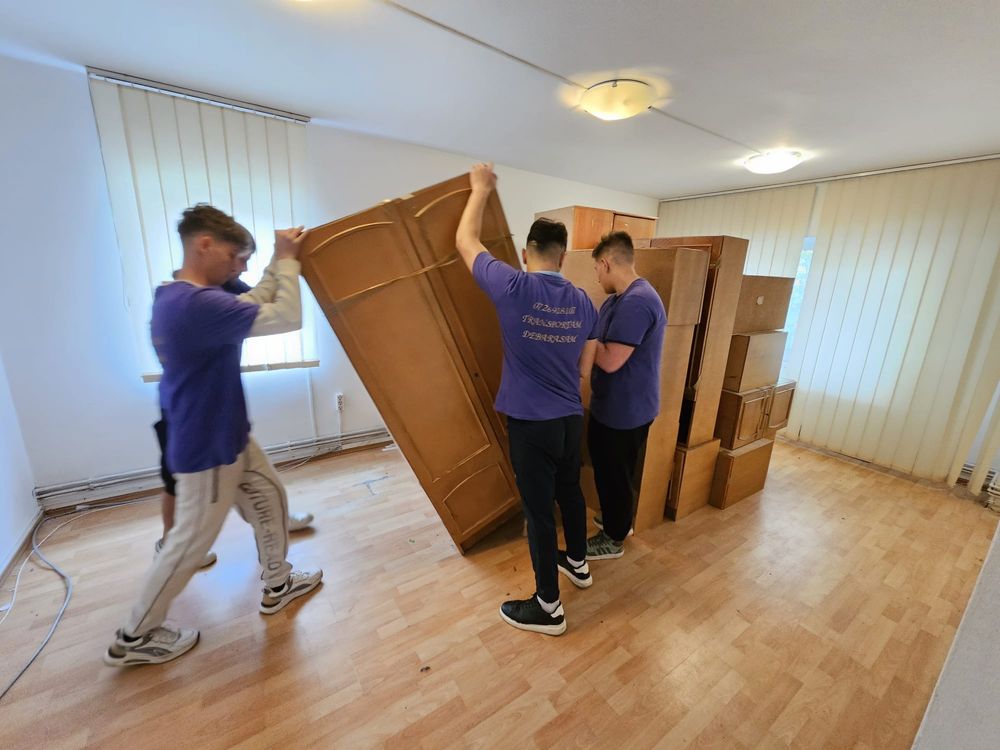 Debarasări Apartamente & Defrișări Spații Verzi