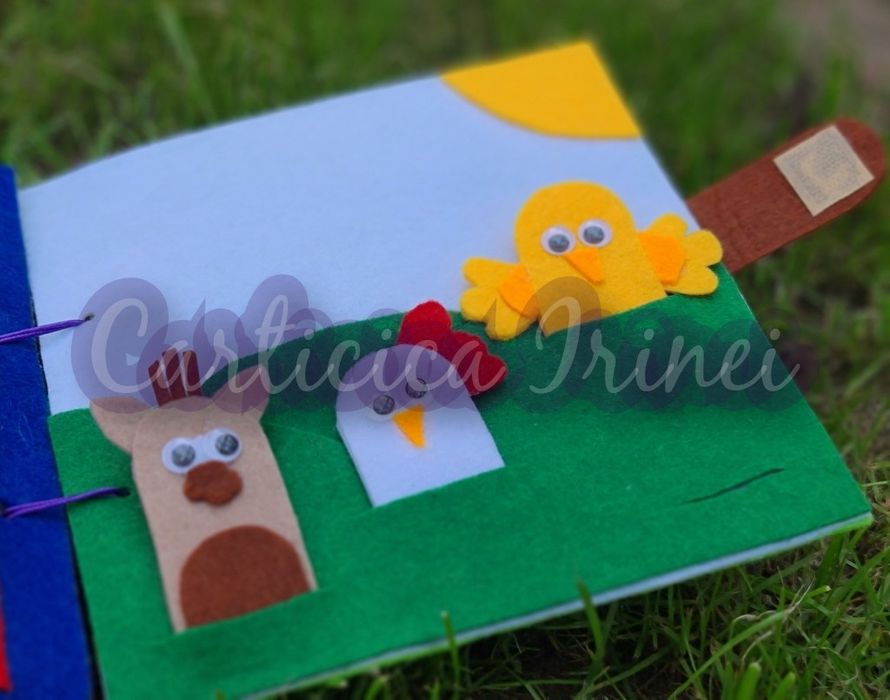 Vând carte senzorială din fetru Caracatiță