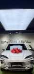 Byd chempion gibrit
