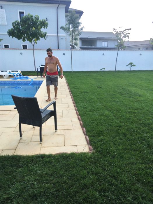 Gazon rulou si plante ornamentale