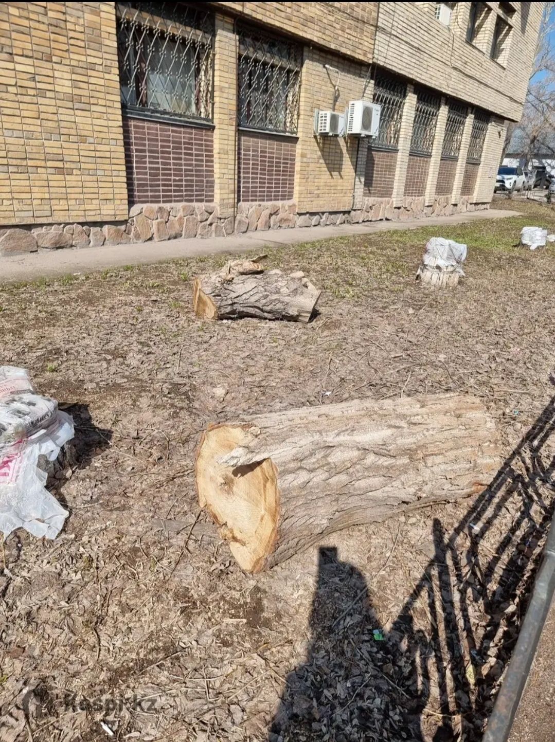 Дрова, уголь в любом количестве