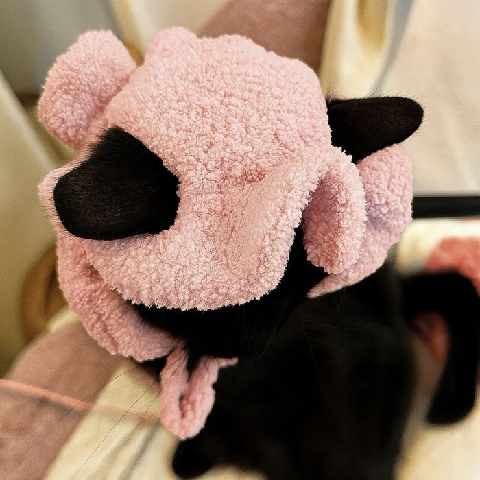 Palarie crosetata manual roz pudra pentru animale de companie