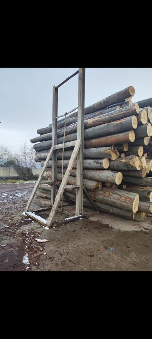 Busteni de fag & stejar și deșeuri lăturoaie de brad & molid