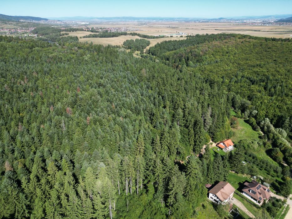 Teren Vulcan Intravilan 2000mp Poieniță Frumoasă lângă Lacuri