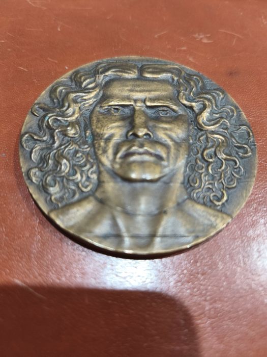 Medalie Leonard De Vinci bronz