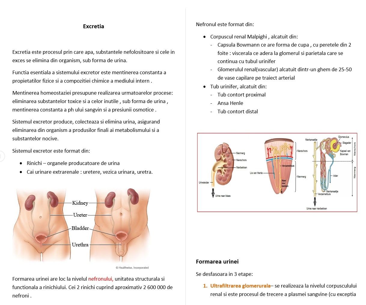 Meditatii bacalaureat biologie clasele 11-12 și admitere