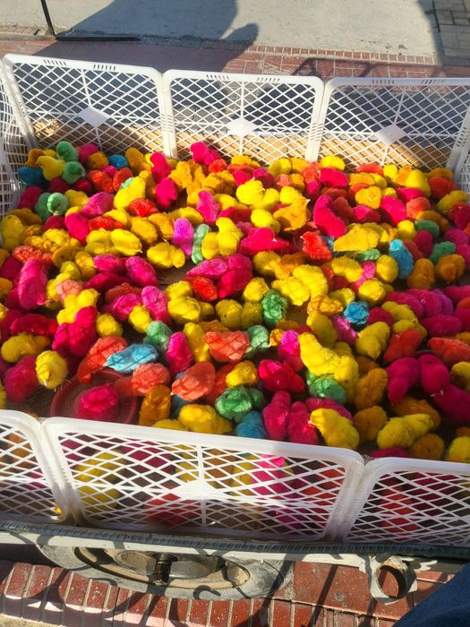 Har hill bor tel doimo yoniq.