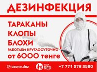 Дезинфекция, Дизенфекция! от Таракан, Клоп, Ос, Крыса, қандала - 4