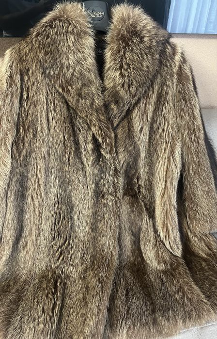 Blana de urs nepurtata