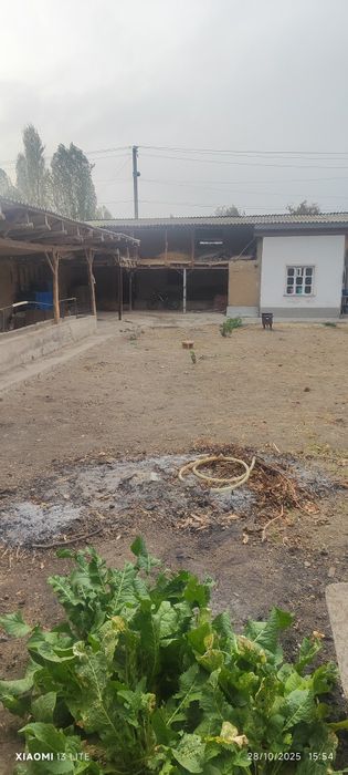 4 so‘tik qurilish un yer sotiladi