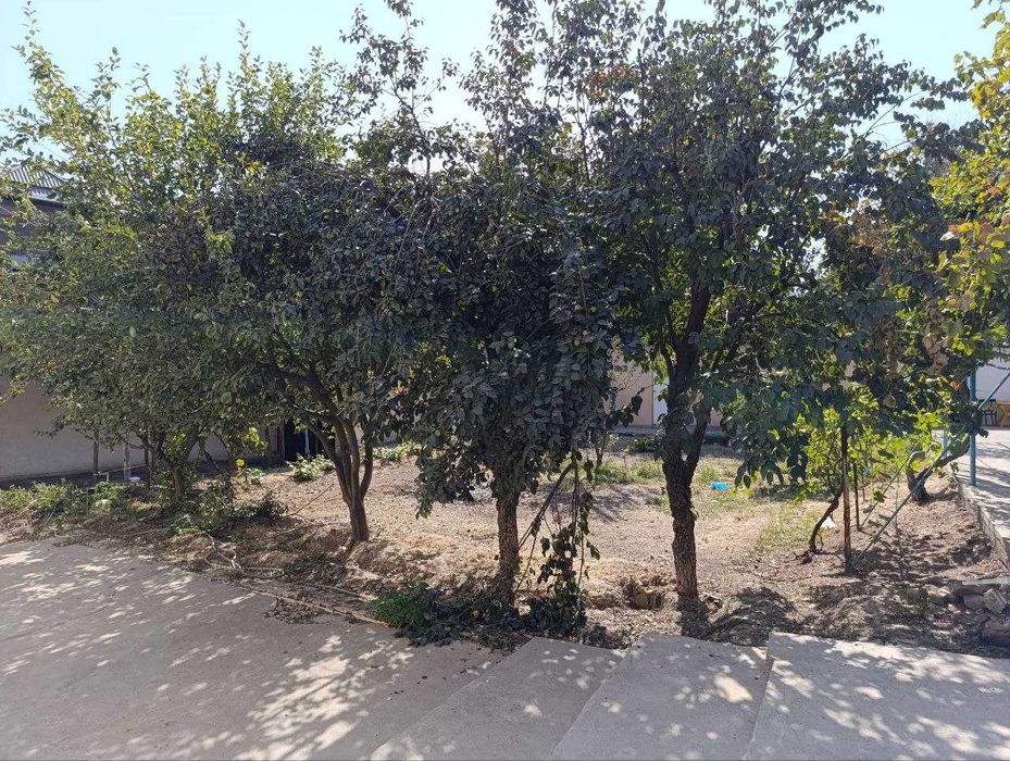 Продаётся участок в Мирзо-Улугбекском районе, 12 соток