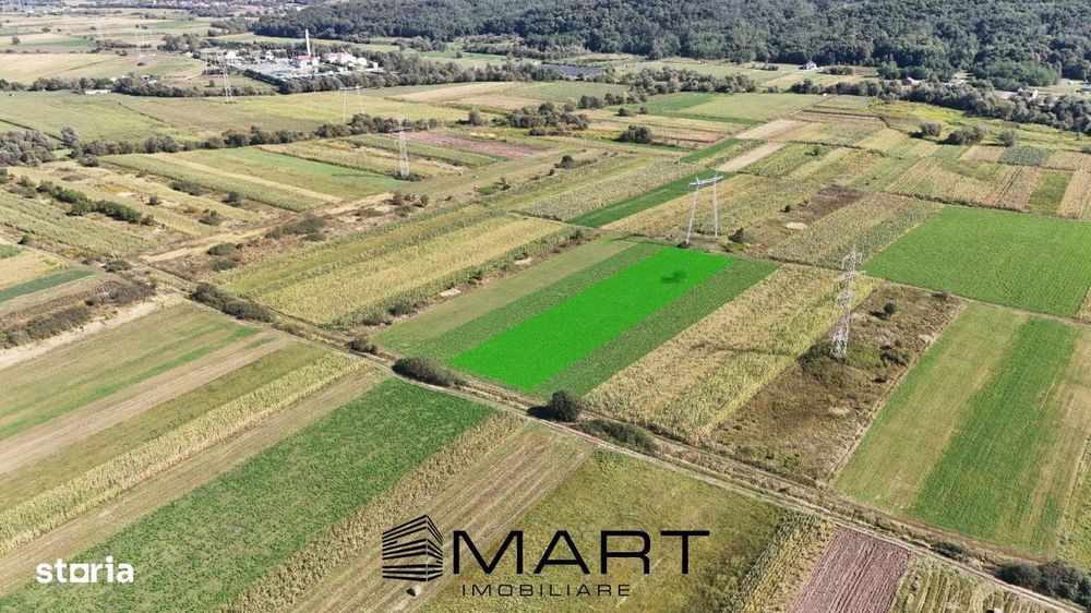 Teren extravilan de vanzare –5000 mp, Șelimbar (Mohu)