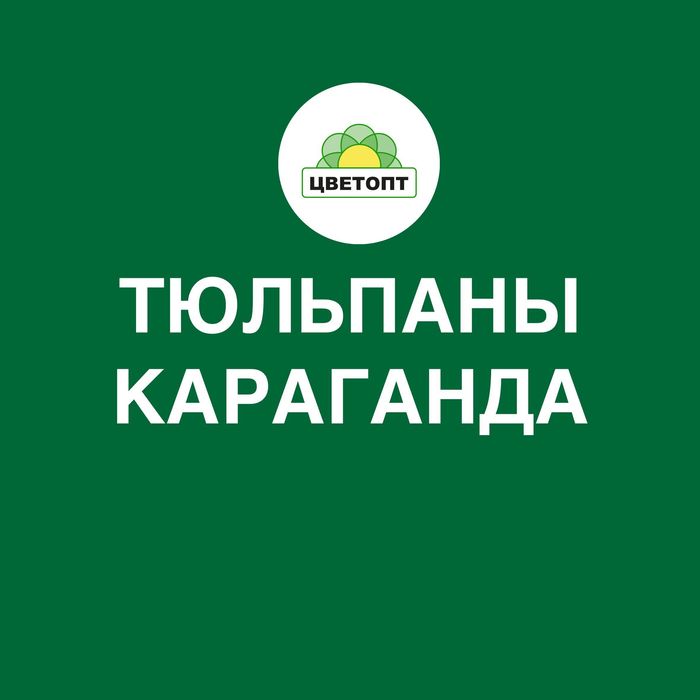 Тюльпаны оптом Караганда