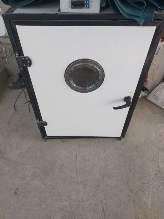 inkubator Инкубатор