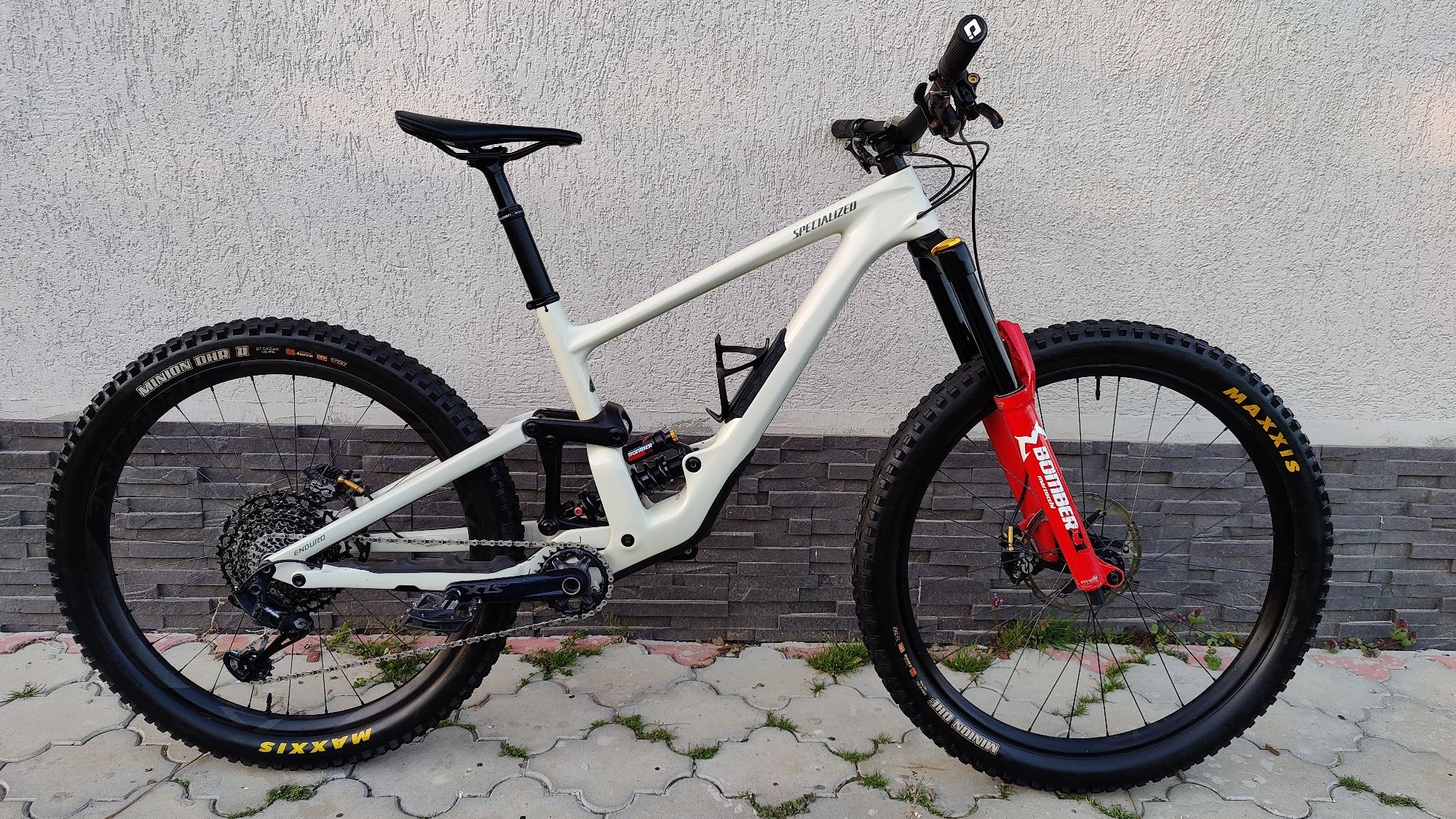 Specialized Enduro Elite 2021 custom