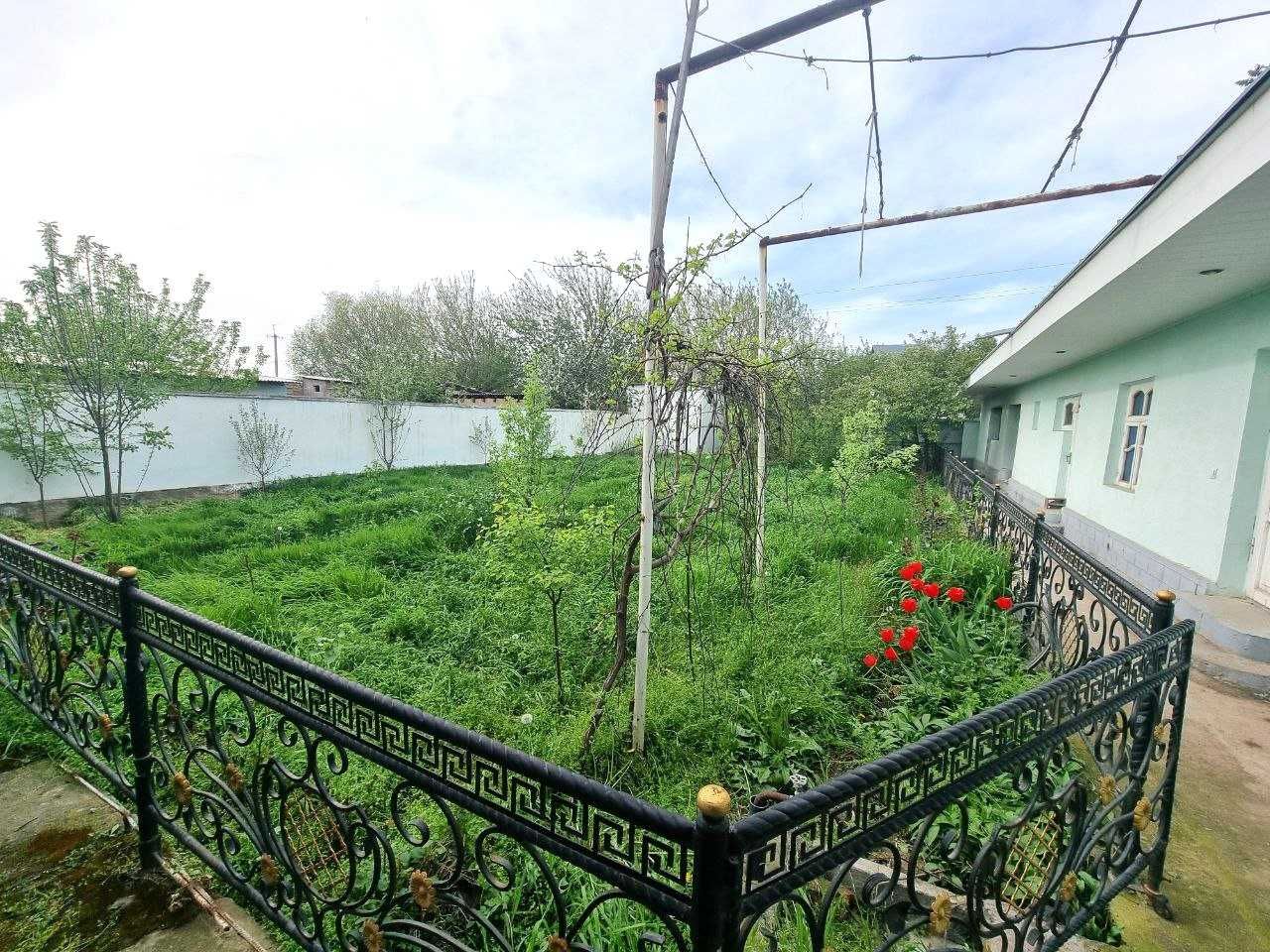 Гулистон шахар, махаллада шинам ховли уй сотилади. (Сирдарё вилояти)
