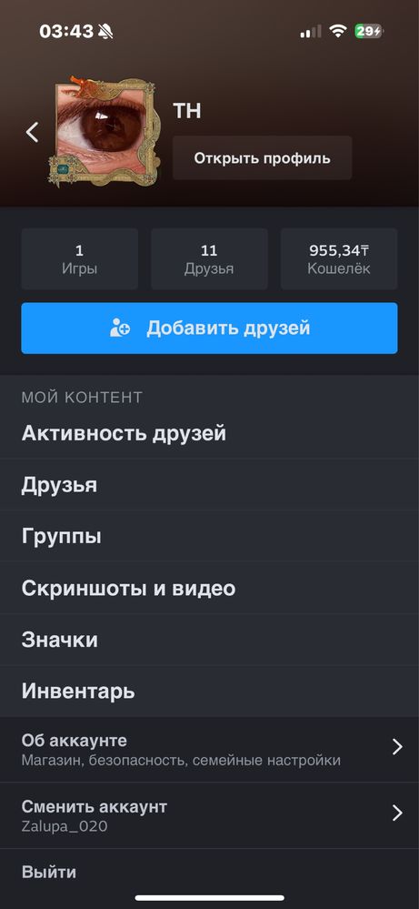 Аккаунт в стиме.