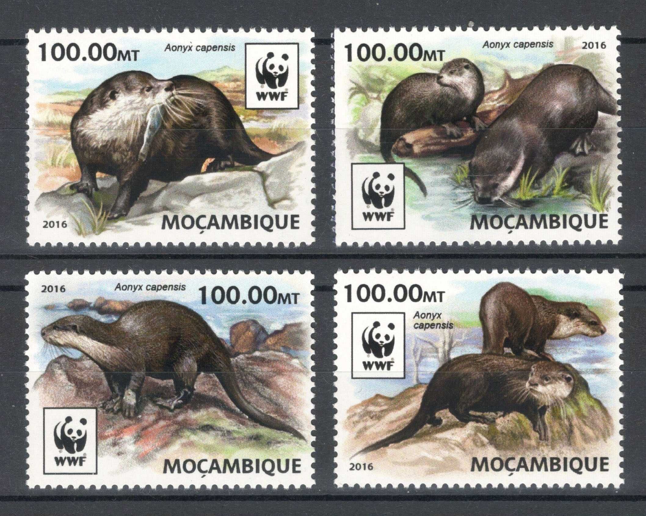 Tchad 2017 - Fauna WWF, Pasari - Serie de 4 timbre - Nestampilata mnh