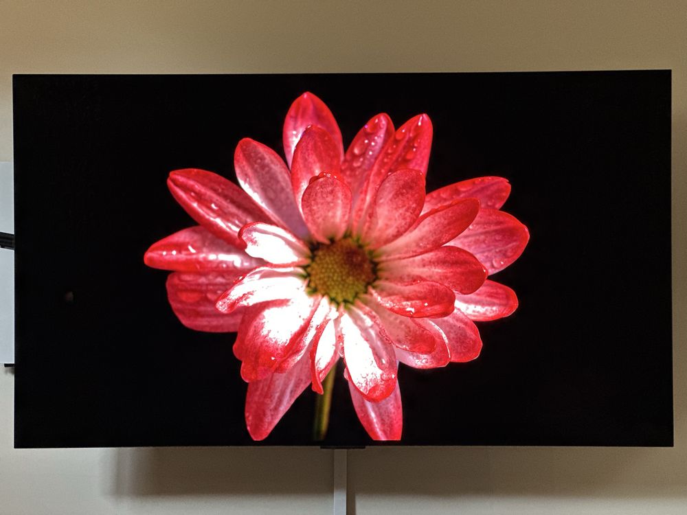 LG OLED C2 55''
