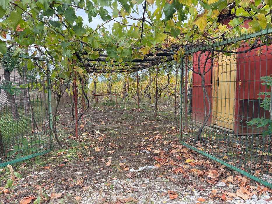 Teren cu vie de vânzare în Comuna Dănești, județul Gorj - 700mp